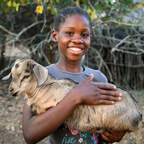 buy a goat for charity|Give the Gift of a Goat .